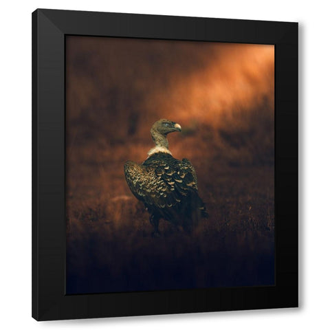 Stay Tuned Black Modern Wood Framed Art Print by Sobhi, Ahmed