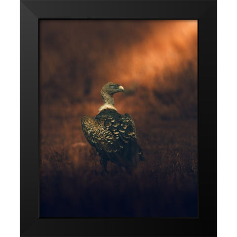 Stay Tuned Black Modern Wood Framed Art Print by Sobhi, Ahmed