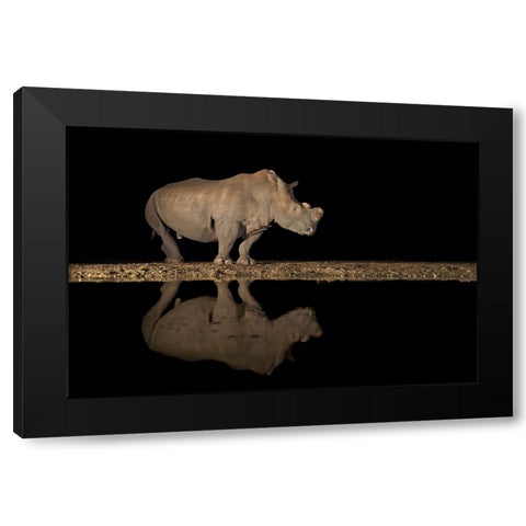 Rhino Black Modern Wood Framed Art Print with Double Matting by Pozzi, Marco