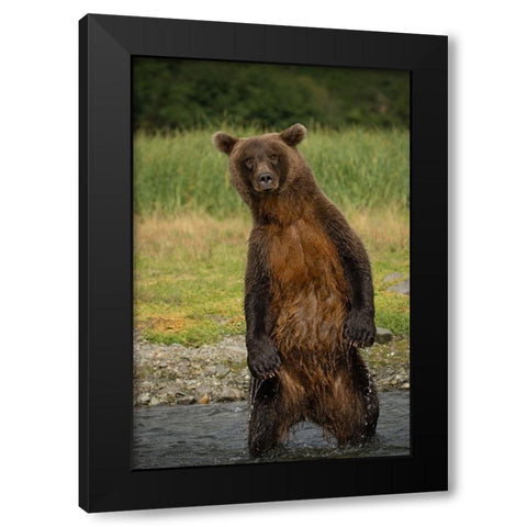 Hey There Black Modern Wood Framed Art Print with Double Matting by Gill, Barbara