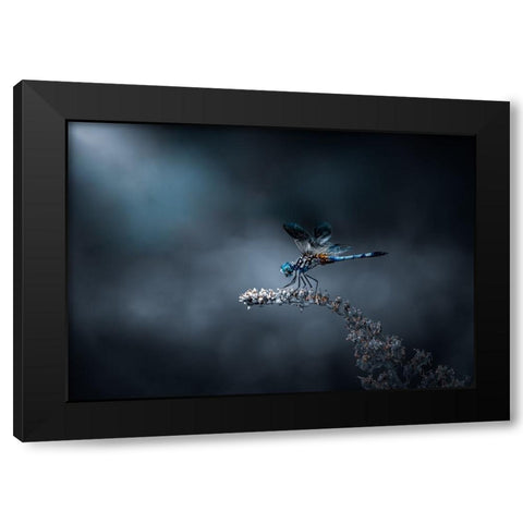 Just Landed Black Modern Wood Framed Art Print by Saluja, Atul