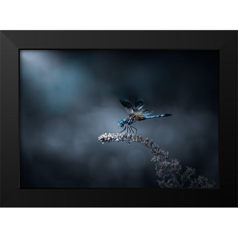 Just Landed Black Modern Wood Framed Art Print by Saluja, Atul