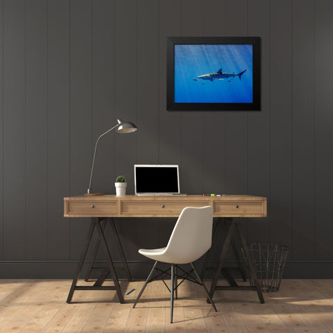 Under A Ray Of Sunlight Black Modern Wood Framed Art Print by Abreu, Fernando