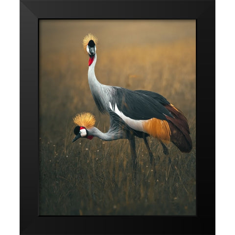 Twins Black Modern Wood Framed Art Print by Sobhi, Ahmed
