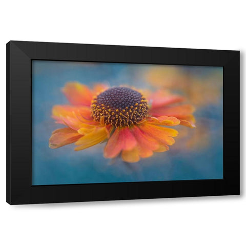 Summer Joy Black Modern Wood Framed Art Print with Double Matting by Jacobs, Lydia