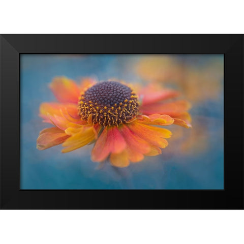 Summer Joy Black Modern Wood Framed Art Print by Jacobs, Lydia