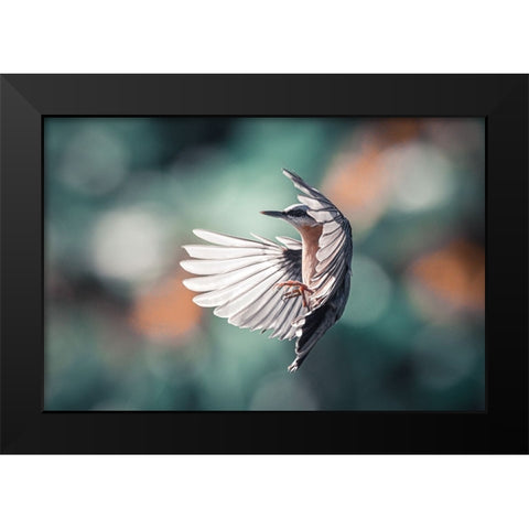 Dynamic Wings Black Modern Wood Framed Art Print by Colemont, Niki
