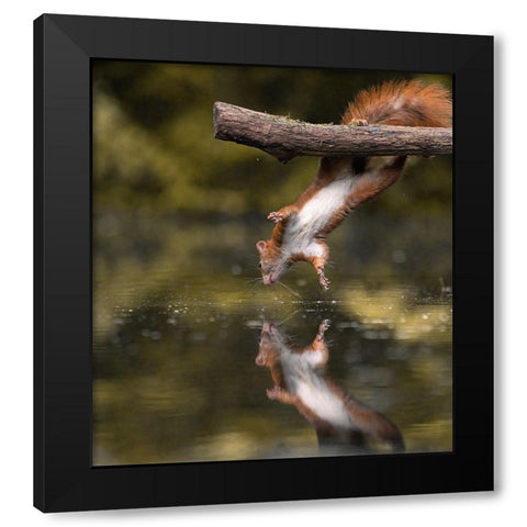 Mirrorless Black Modern Wood Framed Art Print with Double Matting by Colemont, Niki