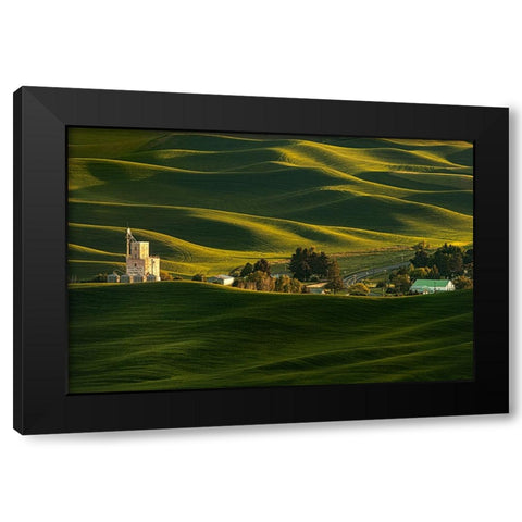 Palouse Wheat Fields Black Modern Wood Framed Art Print by Dickau, Kristel