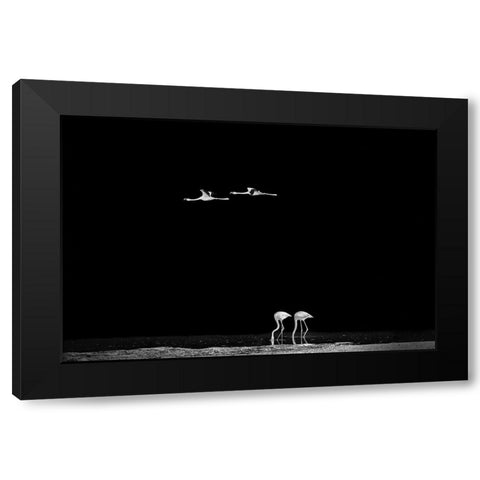 The World Of Couples Black Modern Wood Framed Art Print with Double Matting by Jin, Jie