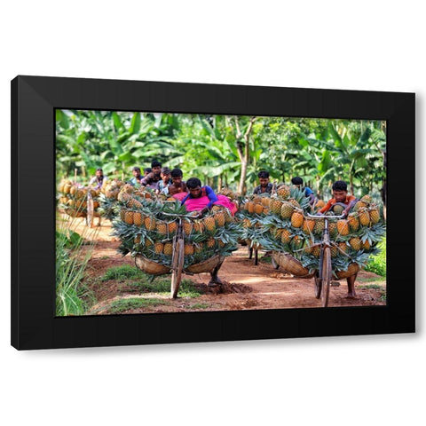 Ripe Pineapple Black Modern Wood Framed Art Print with Double Matting by Rahman Nasim, Mostafijur