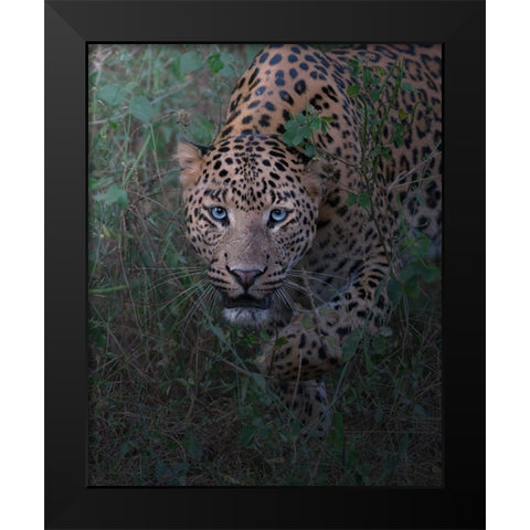Seizing Of The Soul Black Modern Wood Framed Art Print by Rawat, Chaitanya