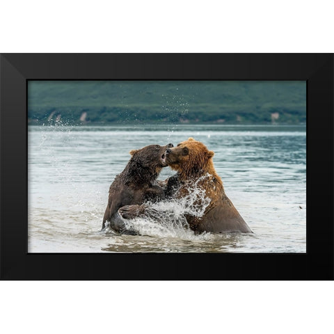 Quarrelsome Friends Black Modern Wood Framed Art Print by Damico, Giuseppe