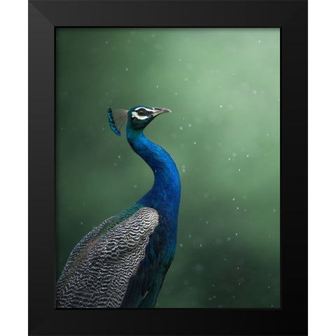 Crowned Onlooker Black Modern Wood Framed Art Print by Rawat, Chaitanya