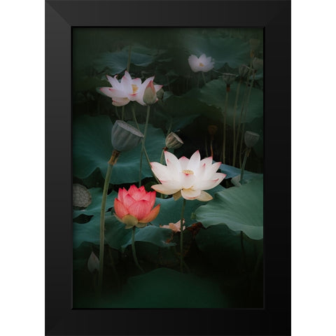Lotus Black Modern Wood Framed Art Print by Kim, Youngil