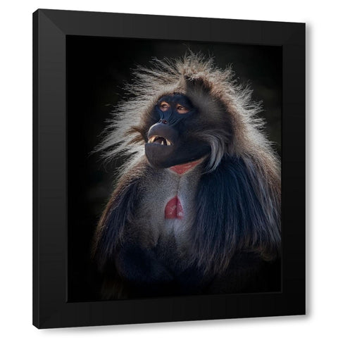 Sd Mandarin Black Modern Wood Framed Art Print with Double Matting by Mugg, Bill