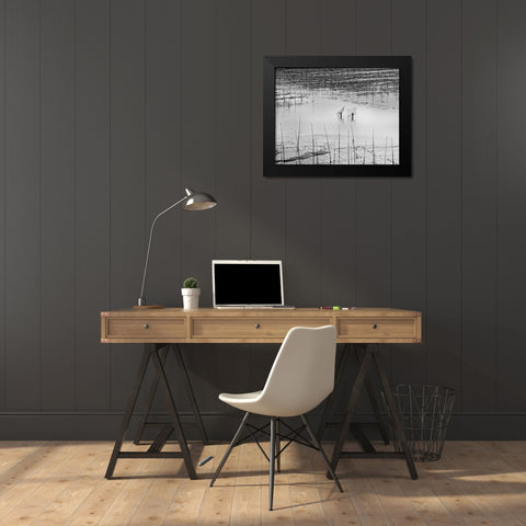 Catching Small Shrimp 2 Black Modern Wood Framed Art Print by Muliani Hartojo, Angela
