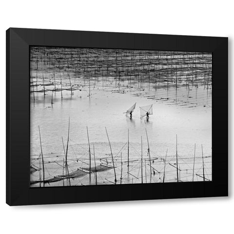 Catching Small Shrimp 2 Black Modern Wood Framed Art Print by Muliani Hartojo, Angela