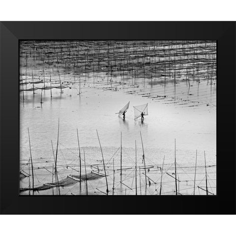Catching Small Shrimp 2 Black Modern Wood Framed Art Print by Muliani Hartojo, Angela