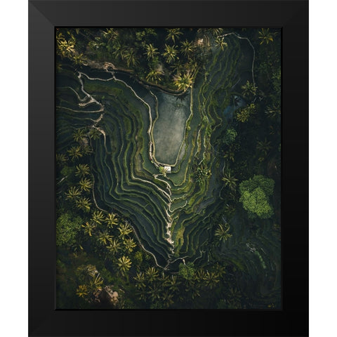 Rice Terrace Black Modern Wood Framed Art Print by Ziomek, Witold