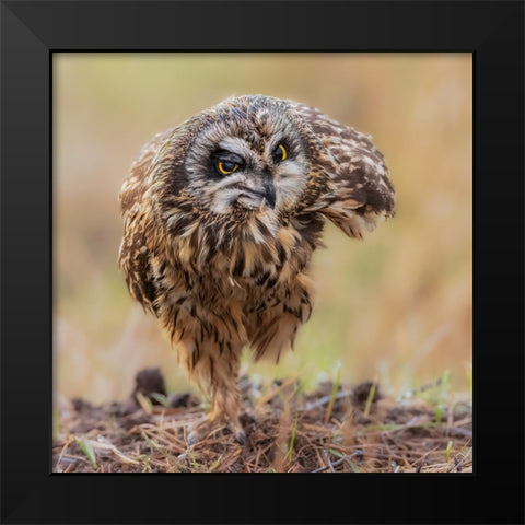 N/A Black Modern Wood Framed Art Print by Taksing