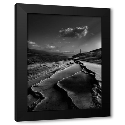 Lord Of Nature Black Modern Wood Framed Art Print by Arabzadeh, Abbas