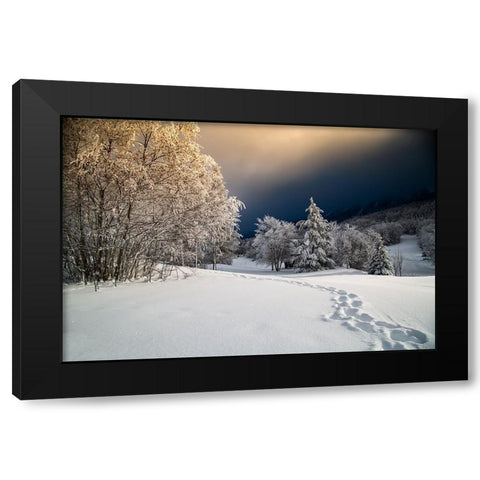 Path Black Modern Wood Framed Art Print with Double Matting by Baudot, Christophe