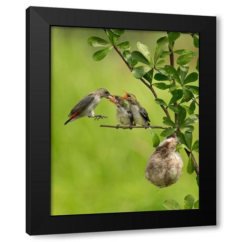 MotherS Love 2 Black Modern Wood Framed Art Print by Muliani Hartojo, Angela