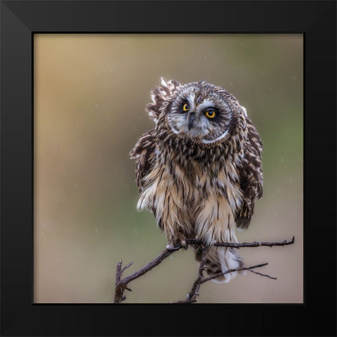 N/A Black Modern Wood Framed Art Print by Taksing