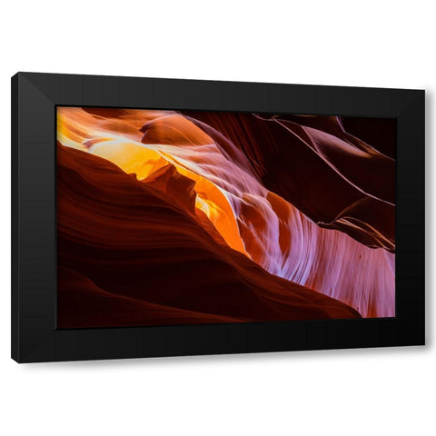 Nature Magic Black Modern Wood Framed Art Print by Tan, June