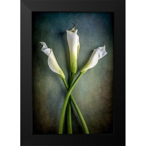 Tower Of Calla Black Modern Wood Framed Art Print by Berberich, Matthew