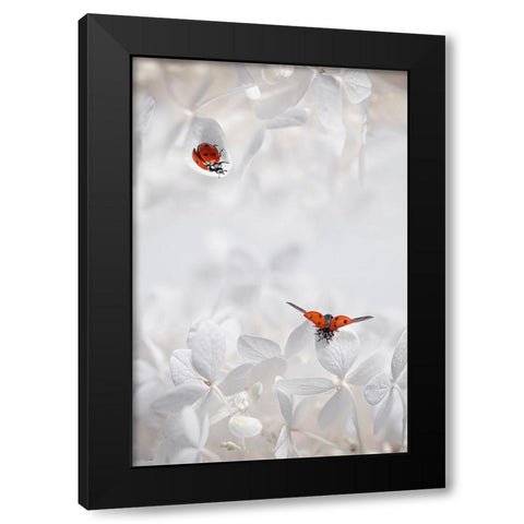 Ladybug Among Flowers Black Modern Wood Framed Art Print by Jacobs, Lydia