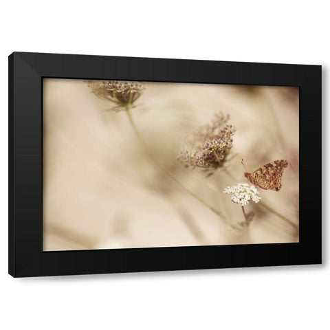 Butterfly Black Modern Wood Framed Art Print with Double Matting by van Deelen, Ellen