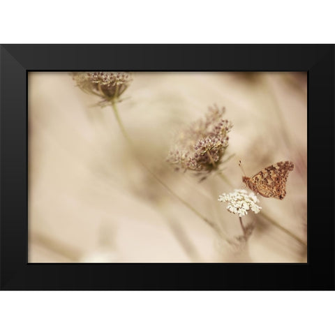 Butterfly Black Modern Wood Framed Art Print by van Deelen, Ellen