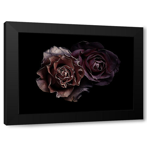 Roses Black Modern Wood Framed Art Print by Julie, Angel