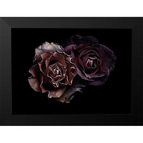 Roses Black Modern Wood Framed Art Print by Julie, Angel