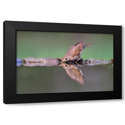 Drinking Black Modern Wood Framed Art Print by Zuo, Jun