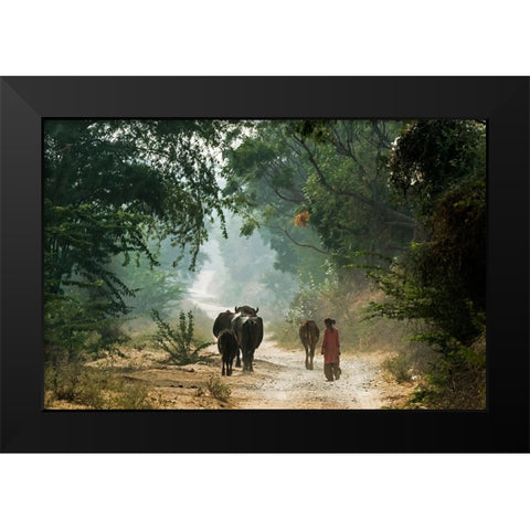 On The Road Black Modern Wood Framed Art Print by Damico, Giuseppe