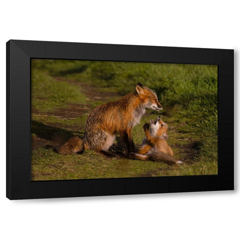 Mom Listen To Me Black Modern Wood Framed Art Print by Donnahom