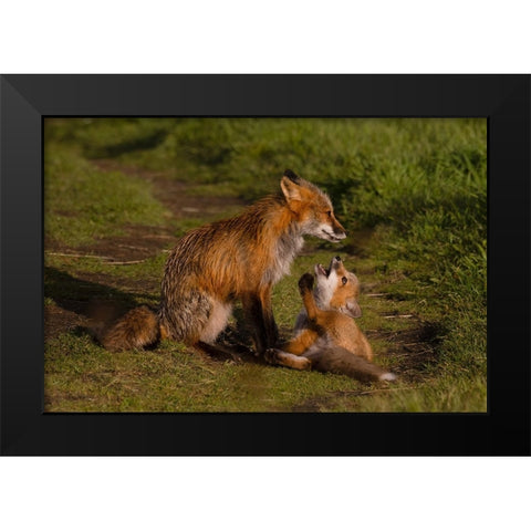 Mom Listen To Me Black Modern Wood Framed Art Print by Donnahom