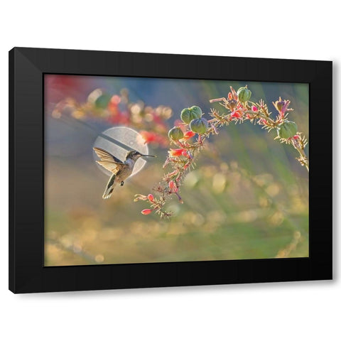 N/A Black Modern Wood Framed Art Print by Li, Alex