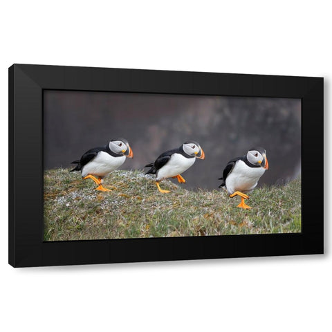 Left-Right-Left Black Modern Wood Framed Art Print with Double Matting by Fu, Molly