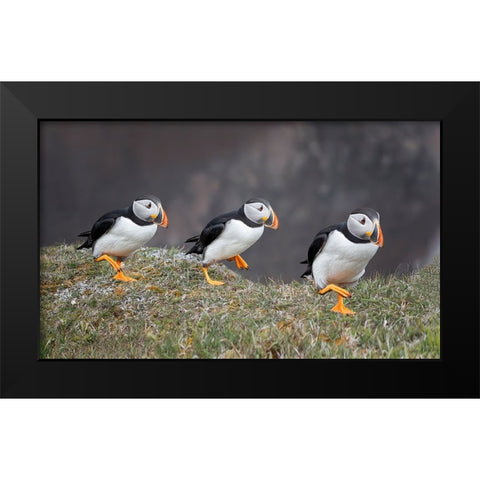 Left-Right-Left Black Modern Wood Framed Art Print by Fu, Molly