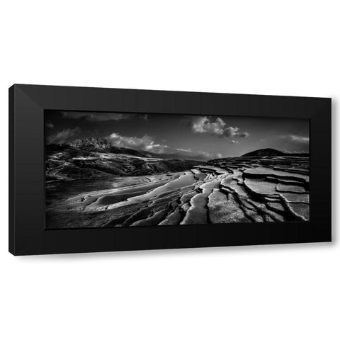 Lord Of Nature Black Modern Wood Framed Art Print by Arabzadeh, Abbas