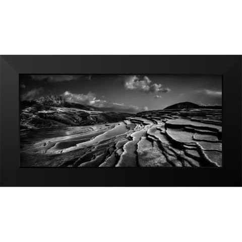 Lord Of Nature Black Modern Wood Framed Art Print by Arabzadeh, Abbas