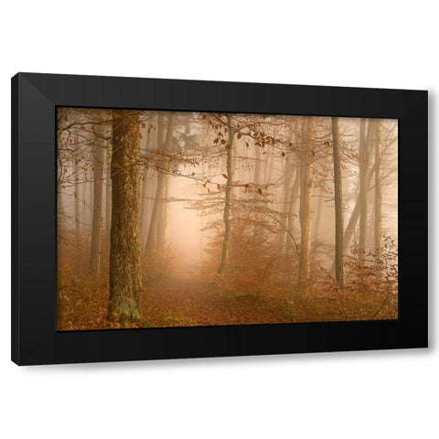 A year has gone Black Modern Wood Framed Art Print with Double Matting by Maier, Norbert