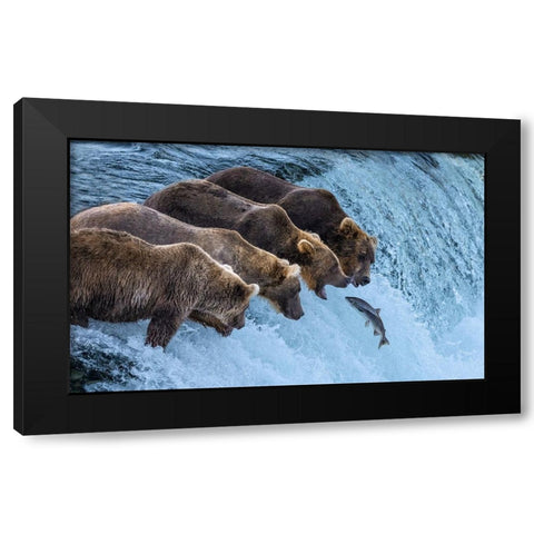 No Chance For Salmon Run Black Modern Wood Framed Art Print by Pingwei Pan, Joy