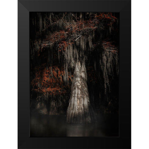 Cypress Tree Black Modern Wood Framed Art Print by Lu, Linda