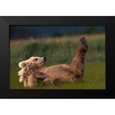 Pedicure Anyone? Black Modern Wood Framed Art Print by Gill, Barbara