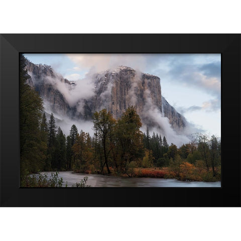 Fall Color In Mist Black Modern Wood Framed Art Print by Shi, Mei